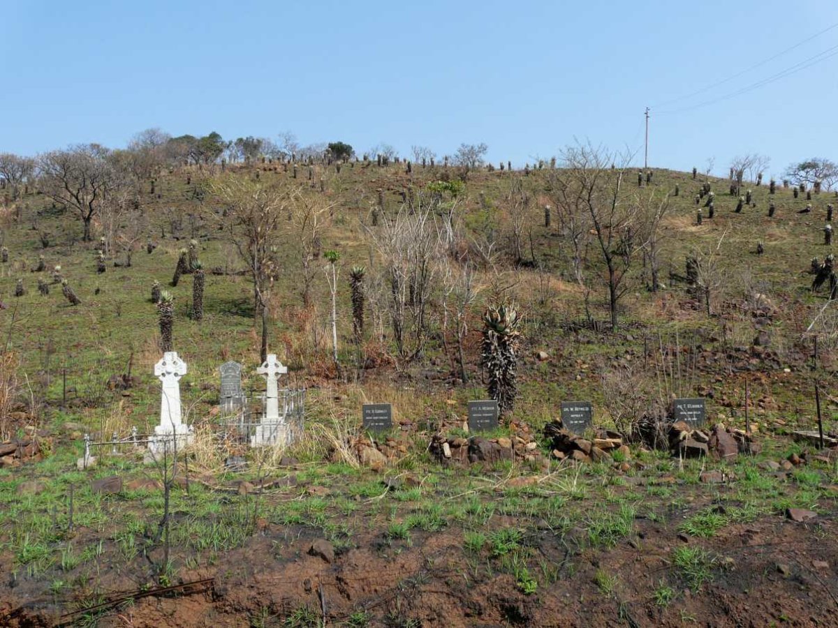 1. Overview