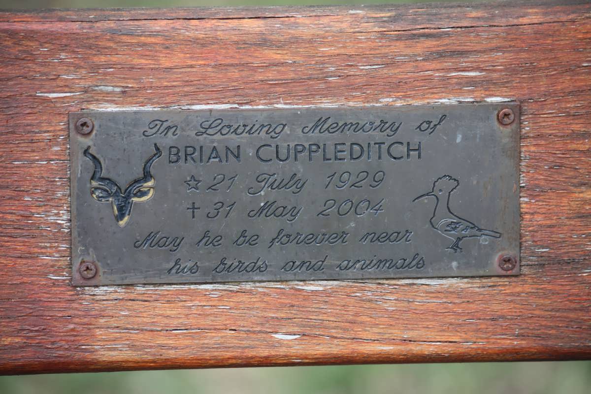CUPPLEDITCH Brian 1929-2004