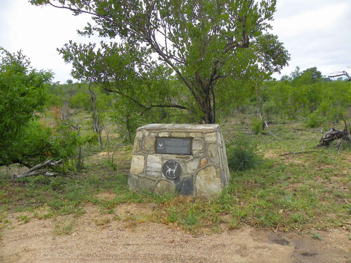1. Overview / Oorsig Fihla-Manzi