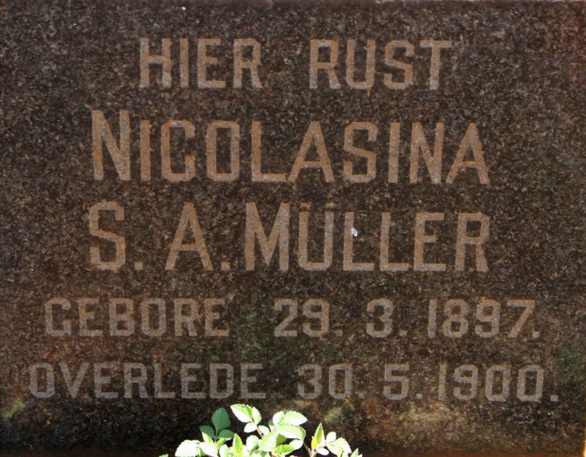 MULLER Nicolasina S.A. 1897-1900