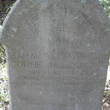 Mpumalanga, AMERSOORT district, Baltrasna 339, farm cemetery