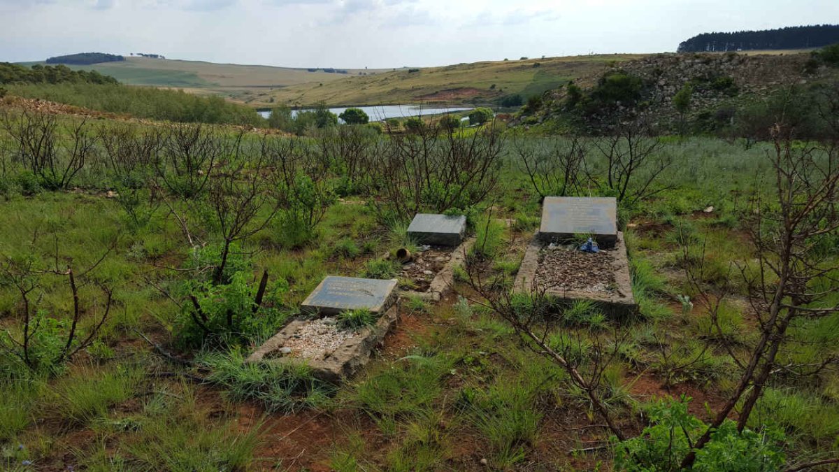 1. Overview of Cemetery