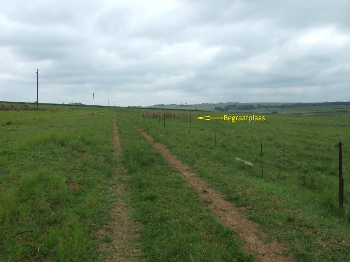 1. Overview