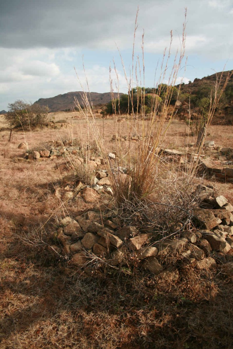 2. Overview