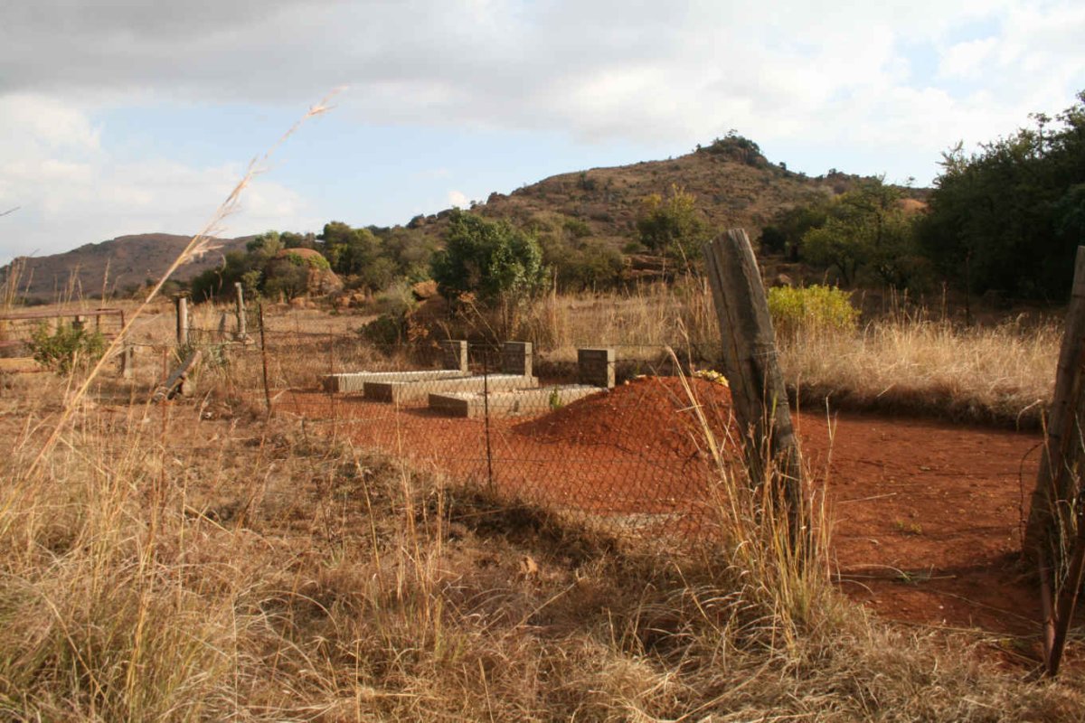 1. Overview