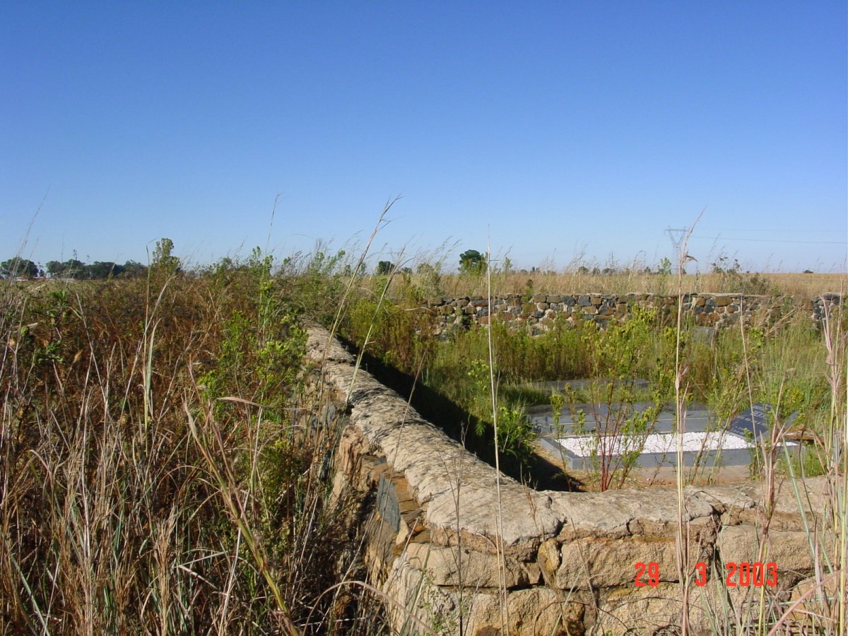 1. Overview
