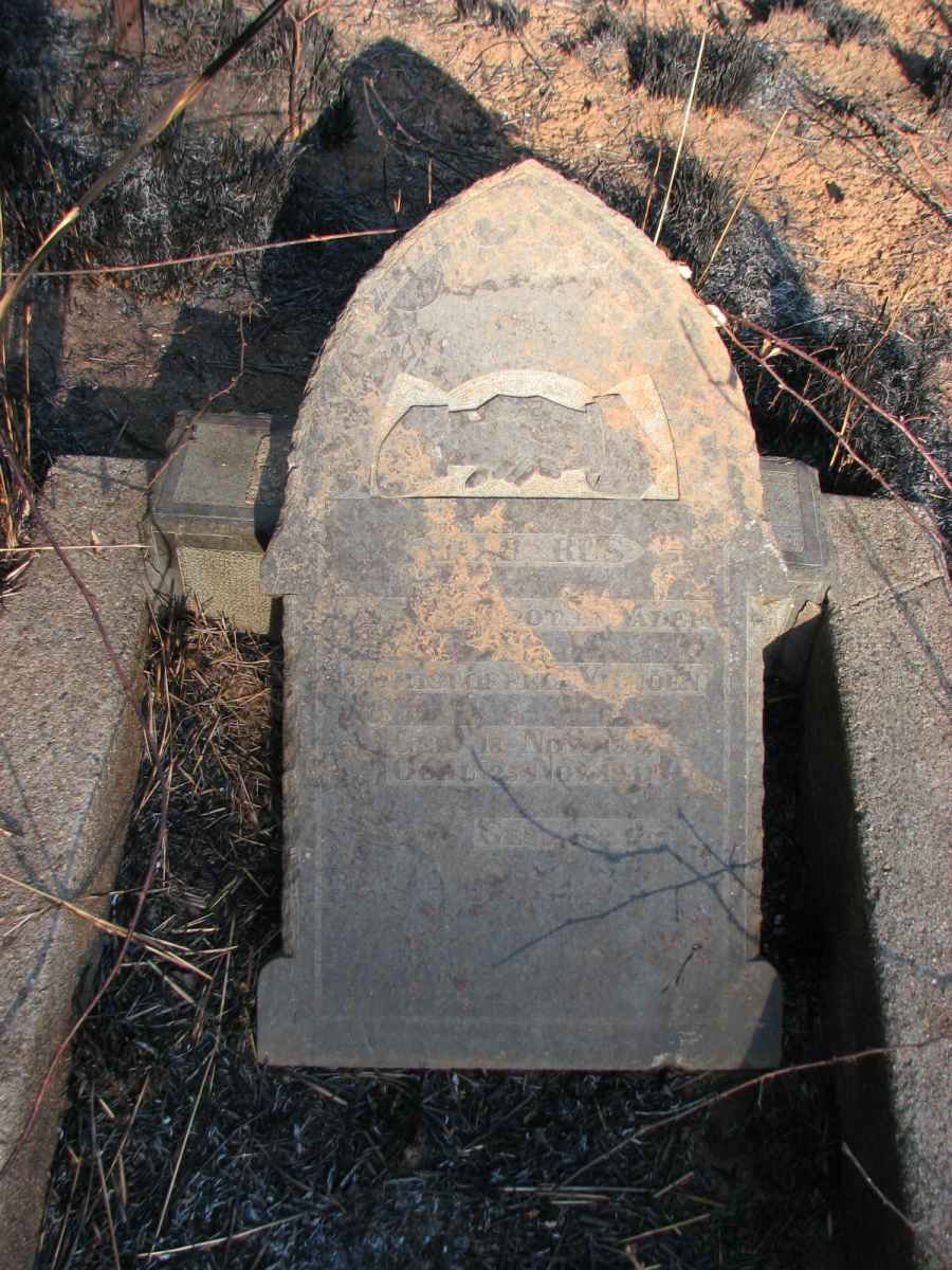 VILJOEN Christoffel 18?2-1911