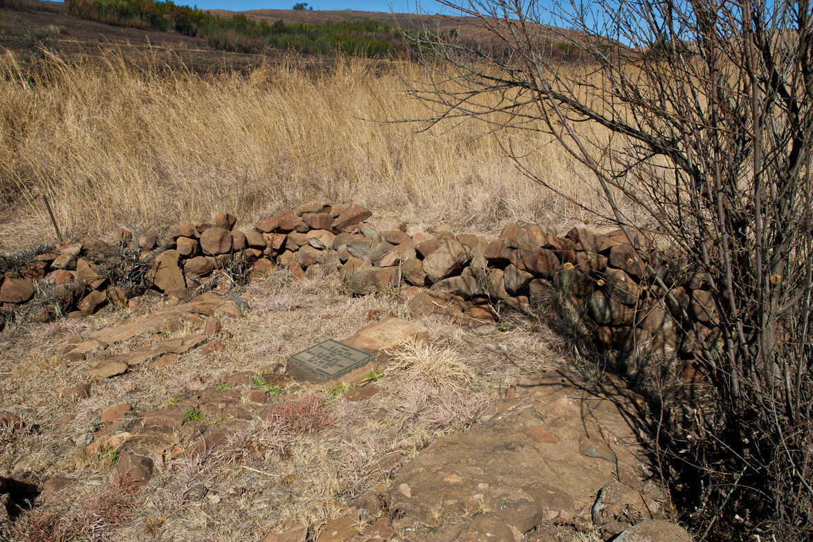 4. Overview